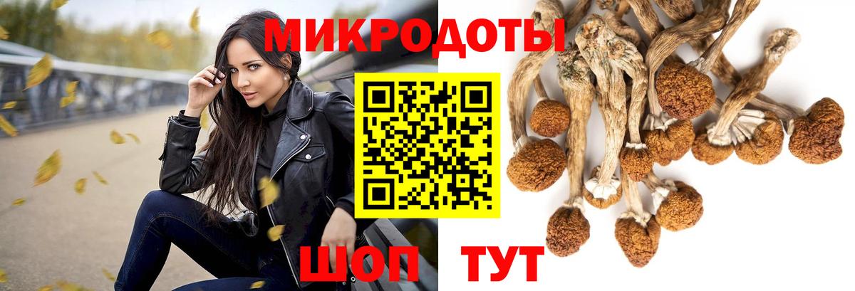 Псилоцибиновые грибы мицелий Красноярск